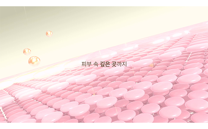 비이제이실크 - 실크제직 전문회사
