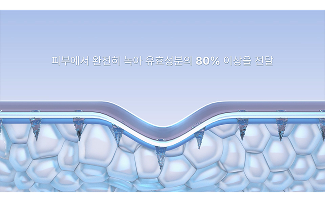 (주)엔도더마 - 마이크로 니들