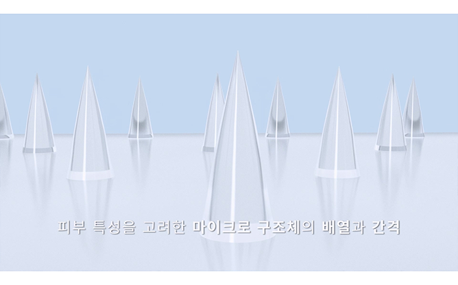 (주)엔도더마 - 마이크로 니들