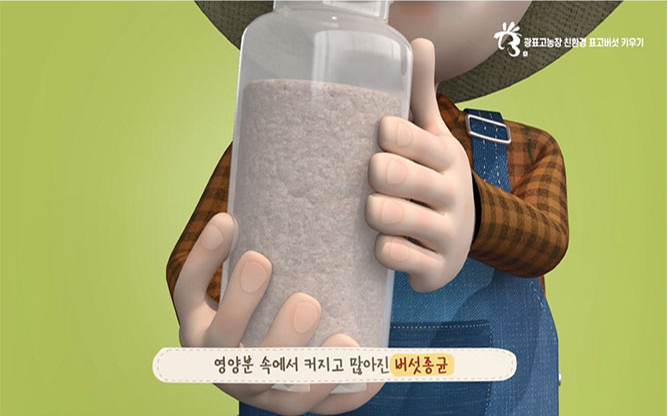 광표고농장 - 친환경 버섯재배키트