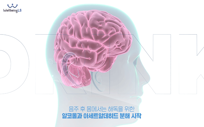 (주)웰빙엘에스 - 숙취해소제