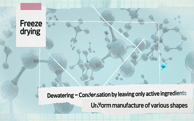 (주)제네웰 - 동결건조 캡슐