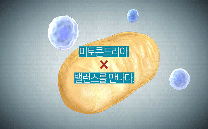(주)휴엔 - 체중조절 건강 기능 식품