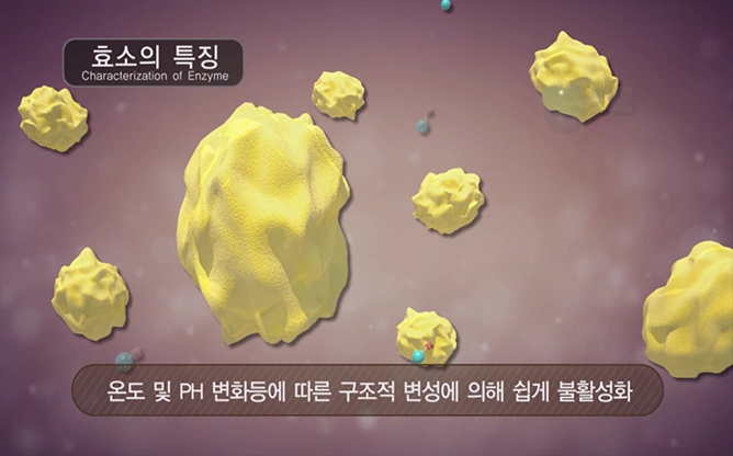 고려대학교 - 나노바이오촉매기반