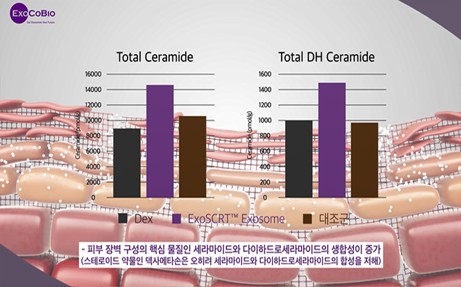 주식회사 엑소코바이오 - 줄기세포 엑소좀