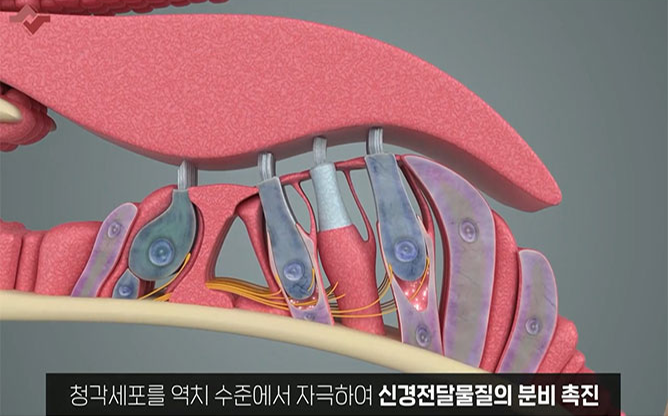 사운드백신(주) - 청력운동기구 HD83