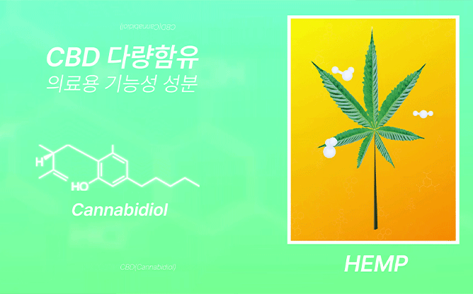 헤피(he_p) - 대마섬유
