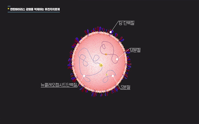 국방과학연구소 - 한탄바이러스 감염 억제 치료제