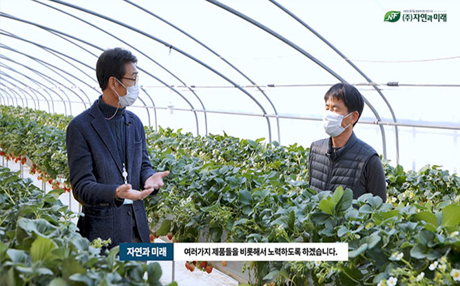 (주)자연과미래 - 친환경 깻잎 재배