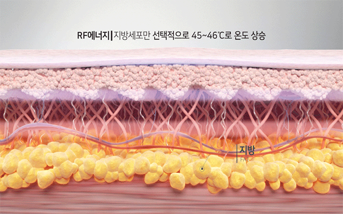 대양의료기(주) - 의료기기 전문