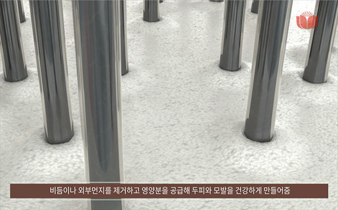 (주)애니닥터헬스케어 - 사막인삼모발력샴푸