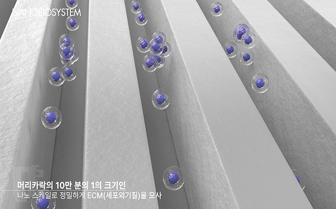 주식회사 나노바이오시스템 - 조직재생지지체