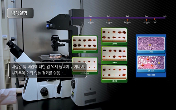 한국생명공학연구원 - 난치성암치료용NK세포