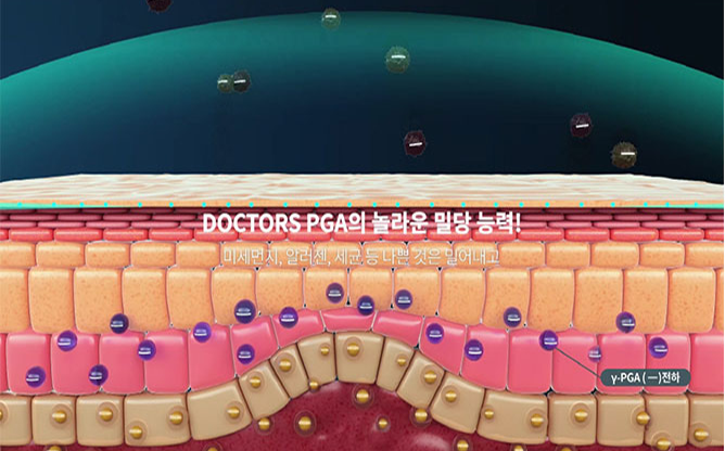 (주)바이오리더스 - 주름개선용 화장료 조성물