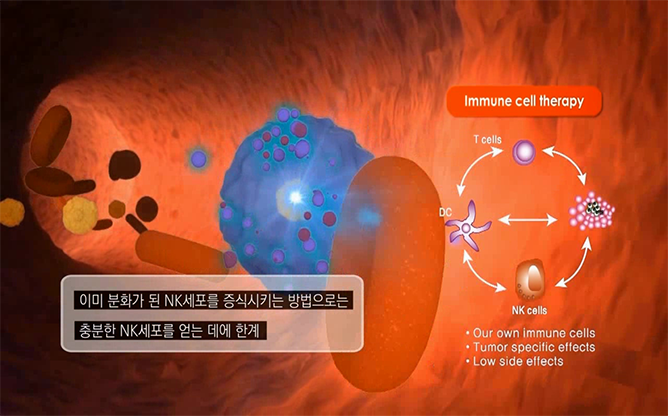 한국생명공학연구원 - 난치성암치료용NK세포