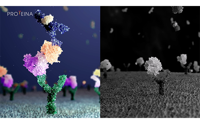 (주)프로티나 - 초정밀 단일분자 PPI 분석기술