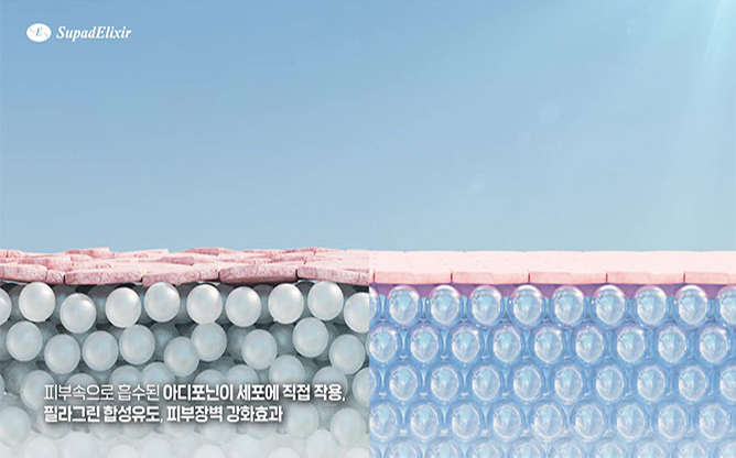 (주)수파드엘릭사 - 기능성 화장품 제조