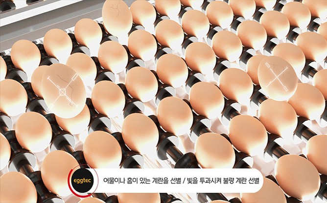 (주)에그텍 - 계란선별기