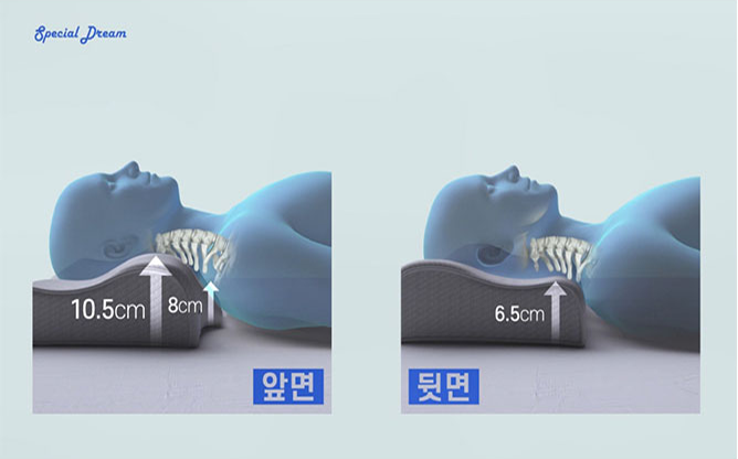 스페셜드림 - 경추베개