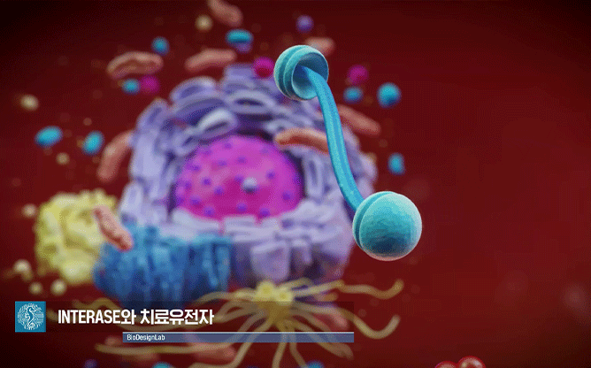 바이오디자인랩 - 바이러스 벡터