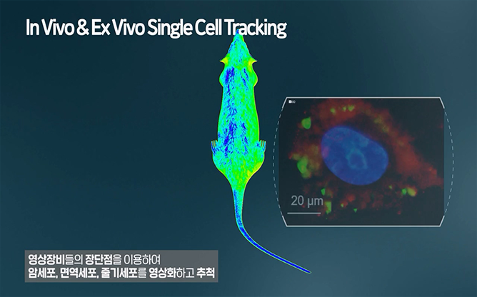 중앙대학교 - 분자영상 및 치료연구