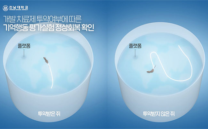 전남대학교 - 귀리 추출물 기반 치매 예방 기술