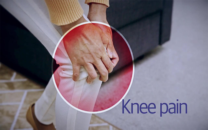 (주)벤스랩 - 만성염증질환 솔루션 개발 전문