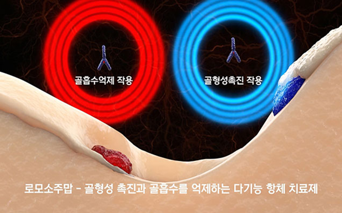 전남대학교 - 골다공증 치료용 저분자화합물