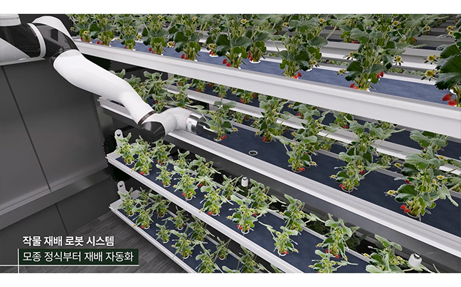 테라웨이브 농업회사법인(주) - 스마트 농업