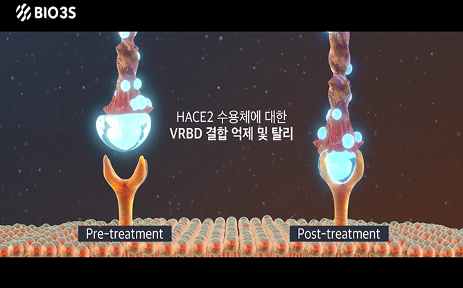 바이오쓰리에스 - 범용성 바이러스 포획 단백질 제조