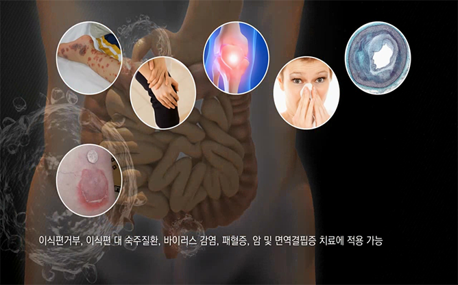 한국생명공학연구원 - 마치현추출물