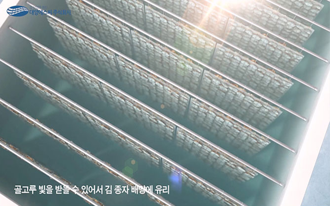 대양에스씨(주) - 배양망