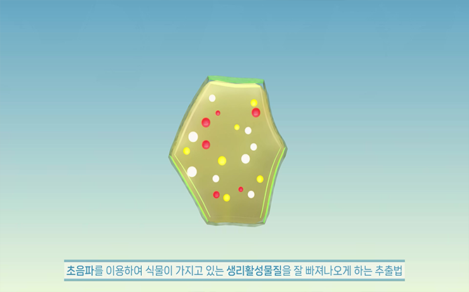 제주테크노파크 - 초음파추출