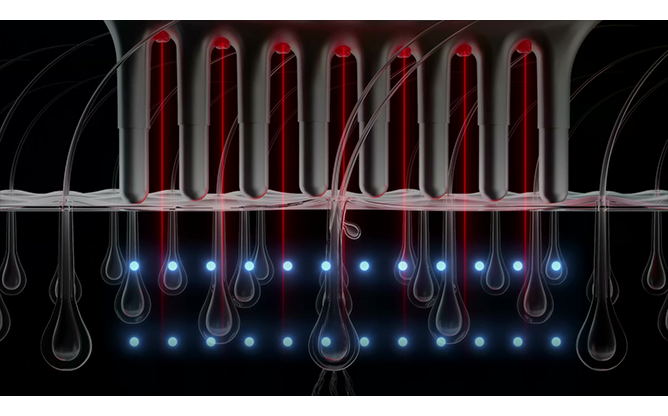 (주)일우전자 - 갈바닉 두피마사지기