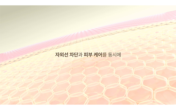 비이제이실크 - 실크제직 전문회사