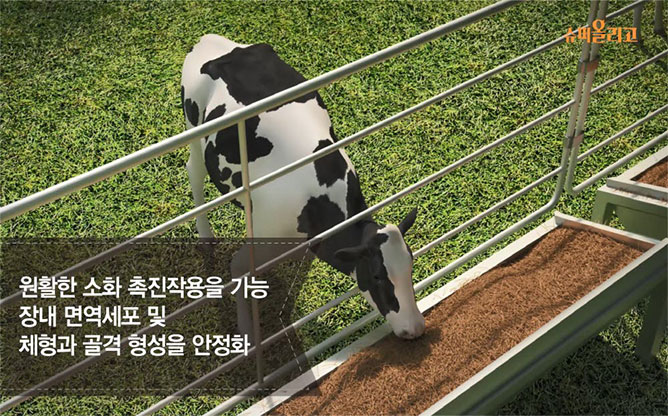 (주)팜텍 - 축산 사료첨가제 전문
