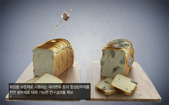 (주)유진바이오텍 - 화장품˙건강기능식품
