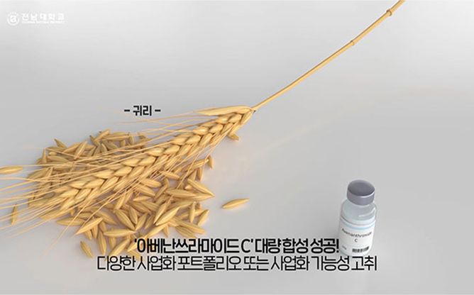 전남대학교 - 귀리 추출물 기반 치매 예방 기술