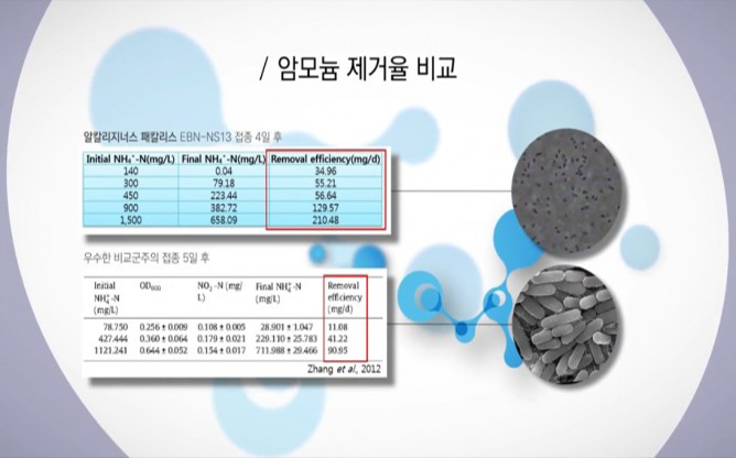 (주)에코비즈넷 - 미생물사료제조/배양기