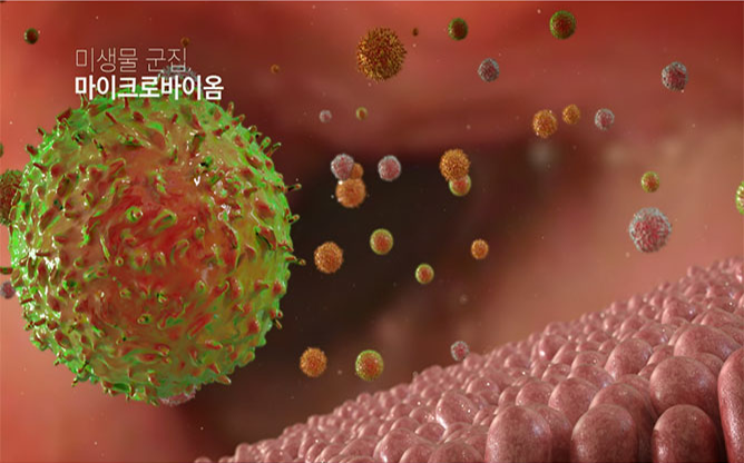 (주)프로바이오닉 - 유산균 전문업체