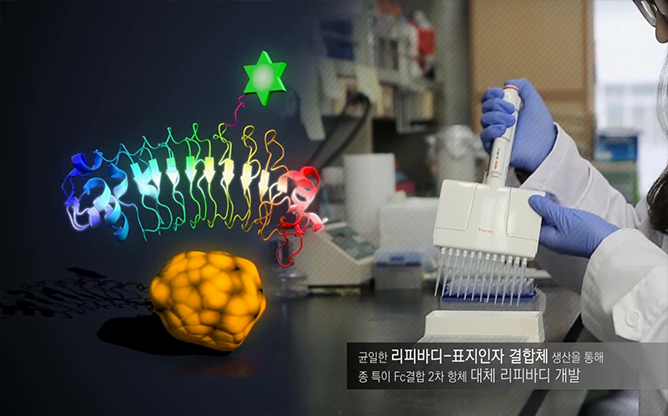 카이스트 - 인공항체리피바디