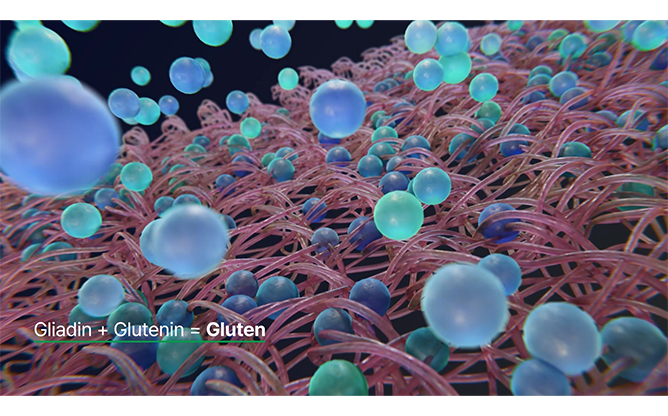 엔피케이(주)-효소식품