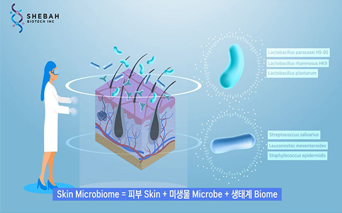 (주)세바바이오텍 - 스킨 마이크로바이옴