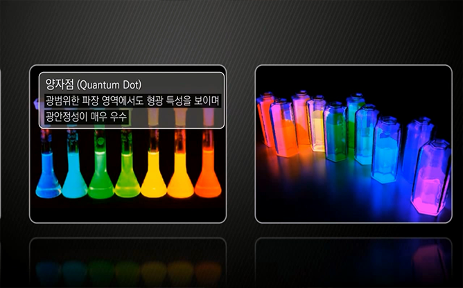 한국생명공학연구원 -  래피드 키트 Rapid Kit
