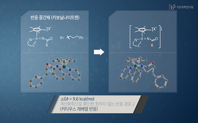 에스와이피 - 락탐화합물