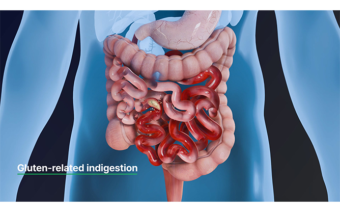 엔피케이(주)-효소식품