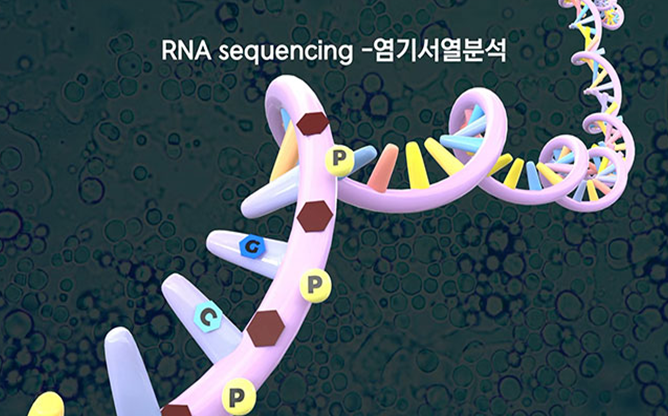 전남대학교 - 골다공증 치료용 저분자화합물