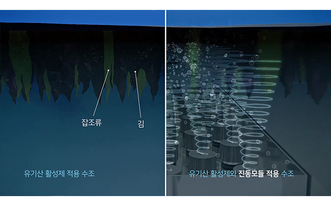 (주)동양화학 - 김잡조류 제거장치