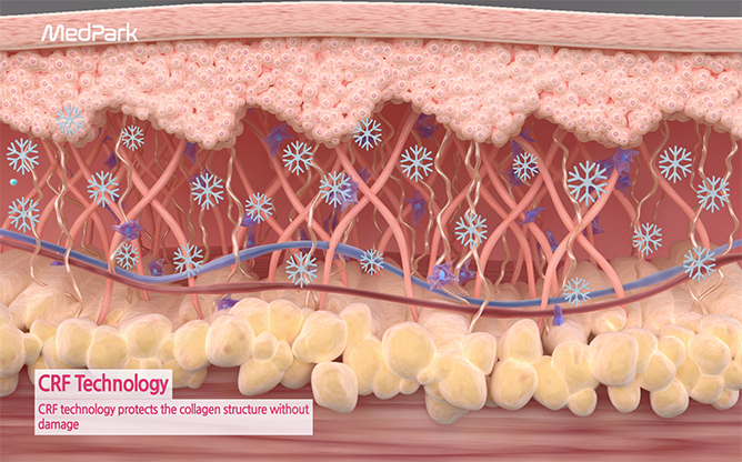 주식회사 메드파크 - S Derm