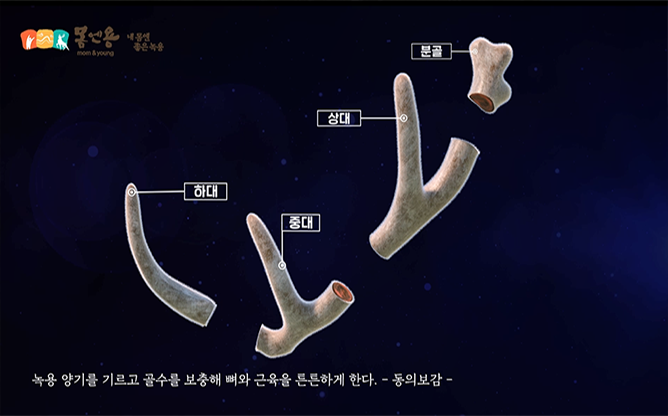 몸엔용바이오 농업회사법인(주) - 국산 녹용